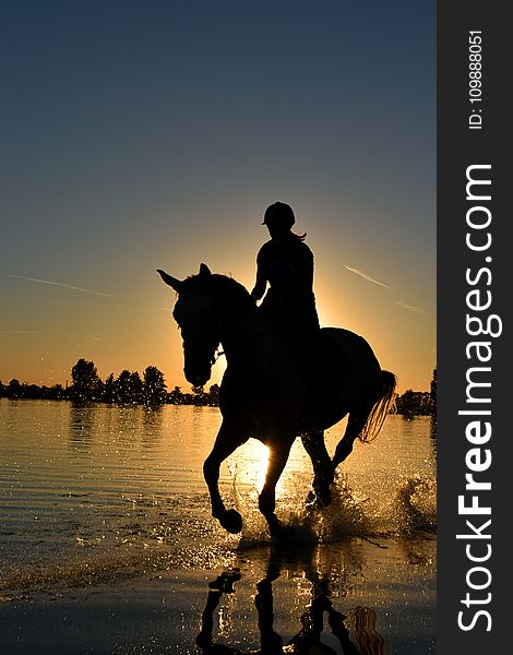 Silhouette of Person Riding Horse on Body of Water Under Yellow Sunset