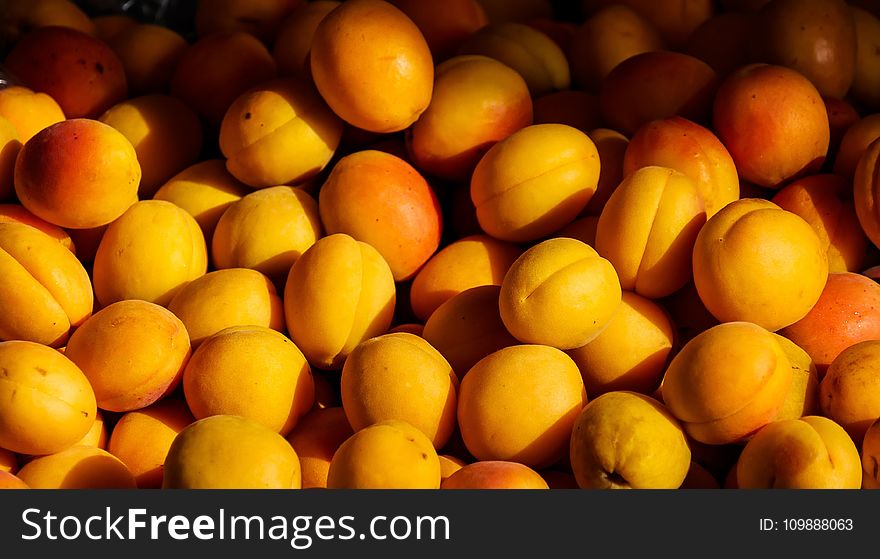 Agriculture, Apricot, Color