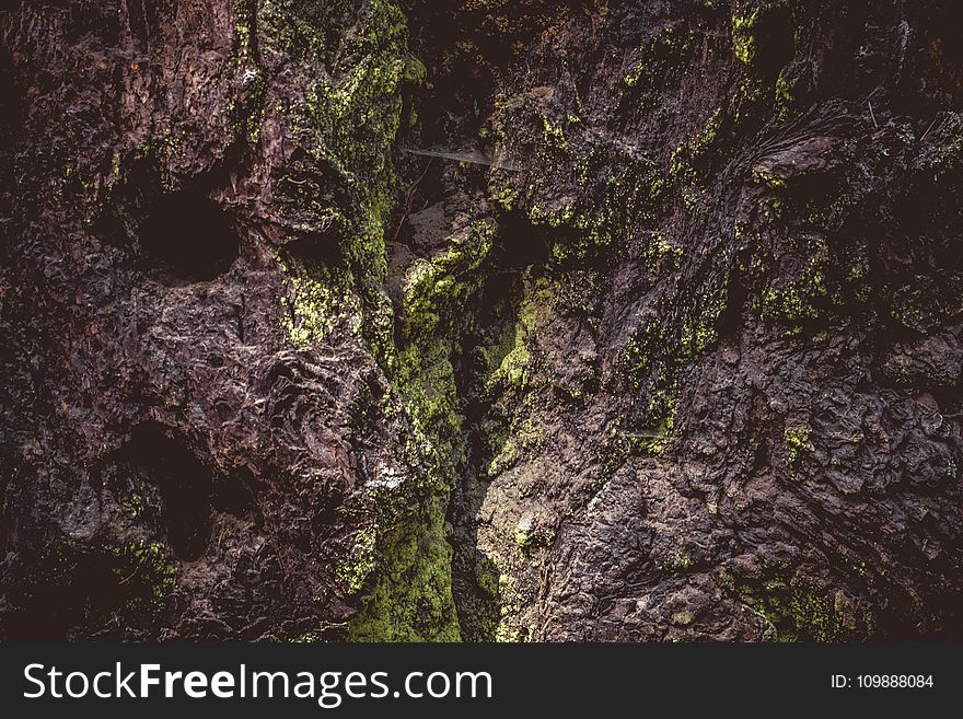 Mossy, Rocks, Outdoors