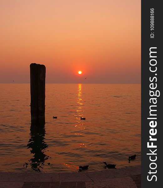 Duck on Body of Water Silhouette of Black Pillar during Golden Hour