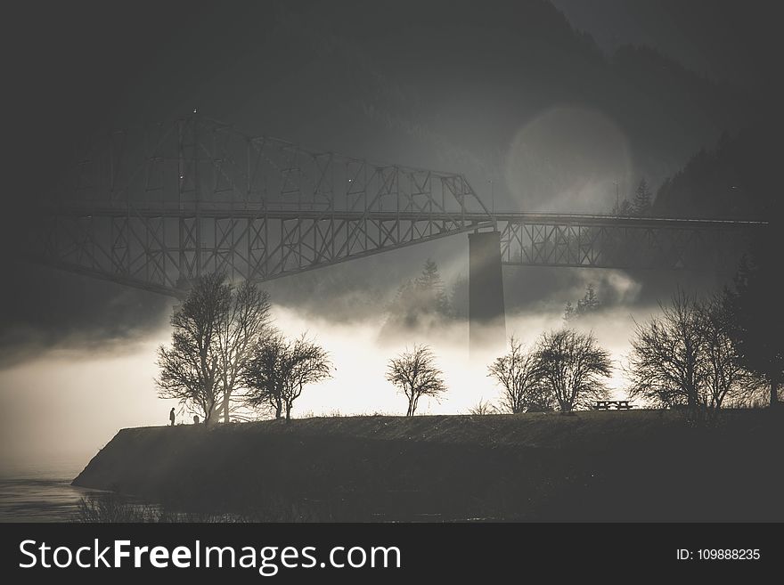 Bridge, Fog, Mist