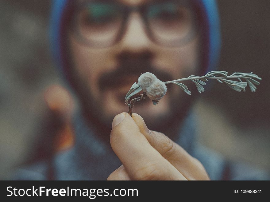 Close-up, Fingers, Hand