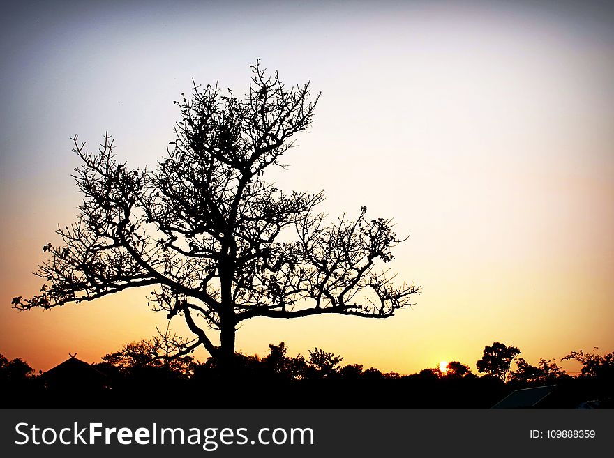 Afterglow, Backlit, Beautiful