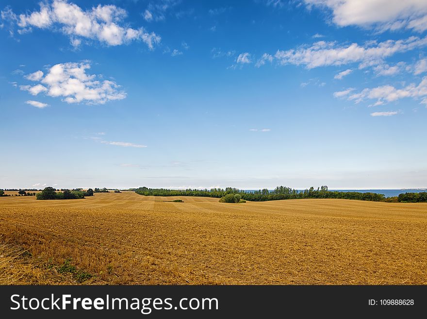 Agriculture, Arable, Clouds