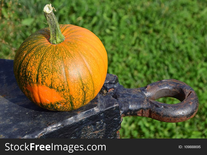 Agriculture, Autumn, Close-up