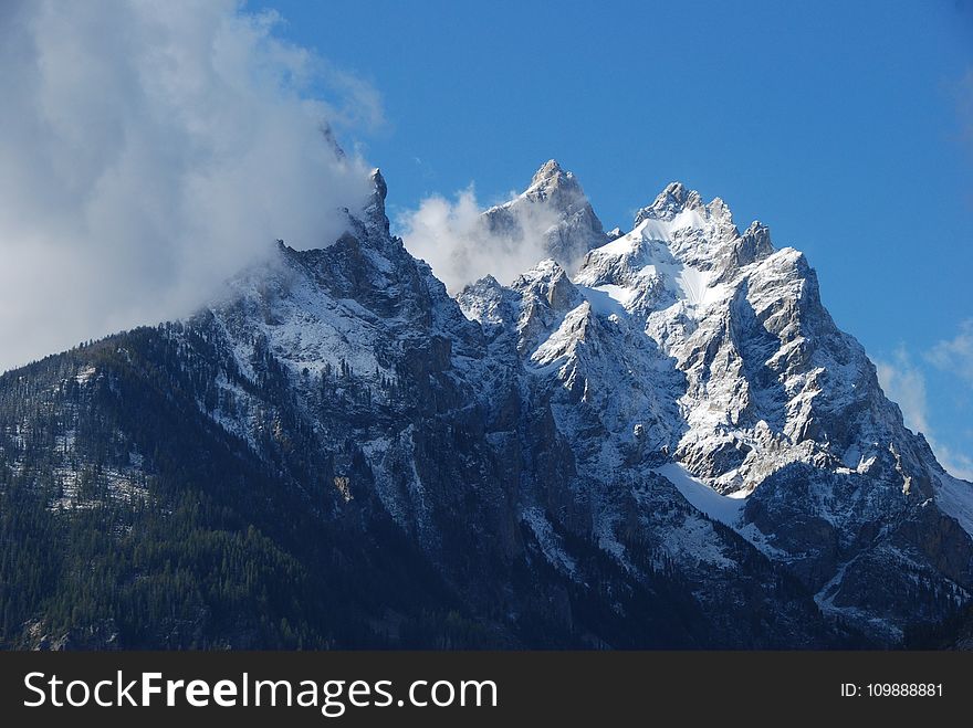 Cold, Fog, Landscape