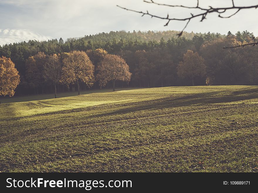 Agriculture, Bright, Brown