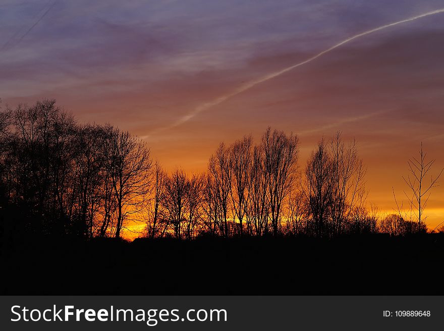 Silhouette Of Trees Against Dramatic Sky