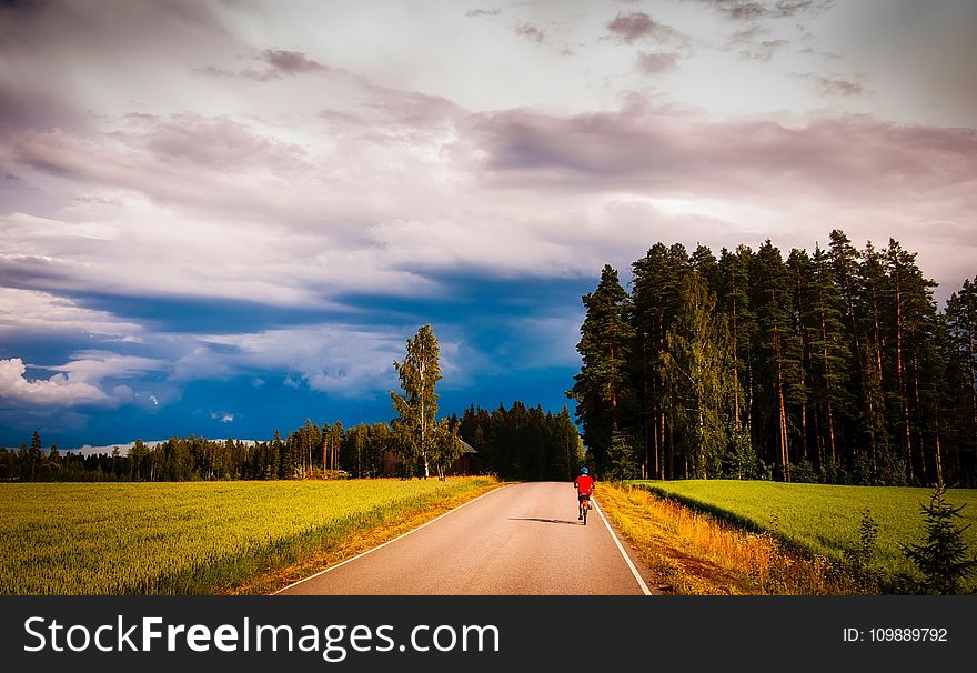 Road Amidst Trees in Forest Against Sky