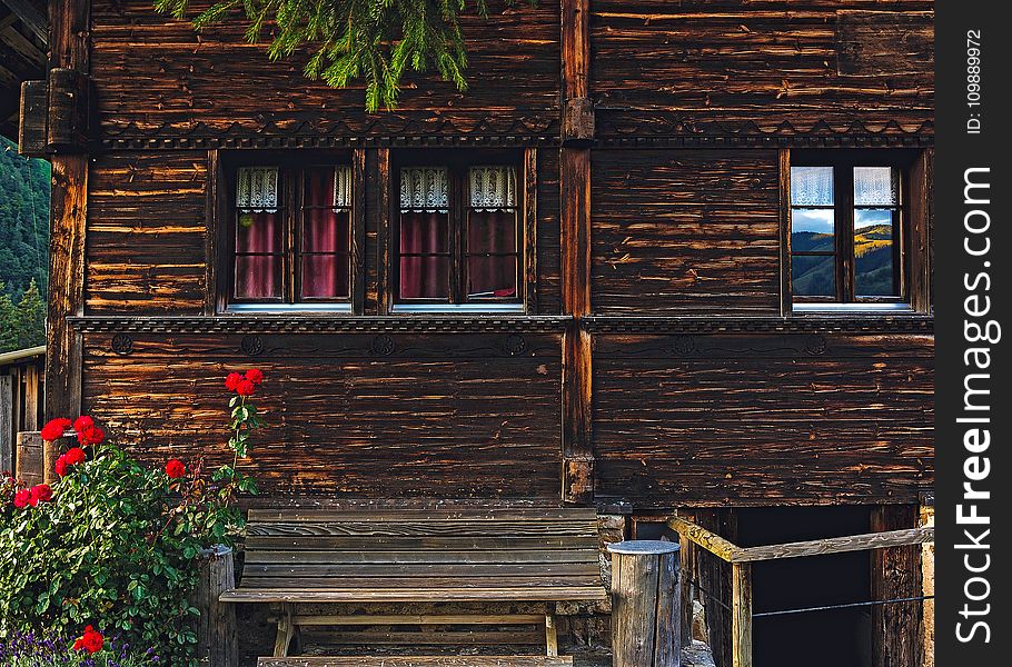 Red Petaled Flower by Porch of Brown Wooden House