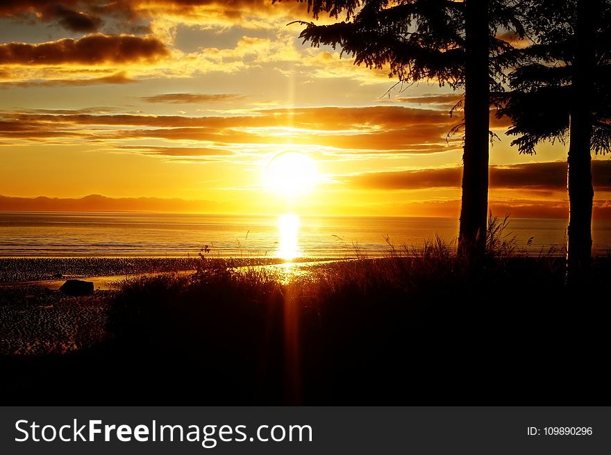 Backlit, Beach, Dawn