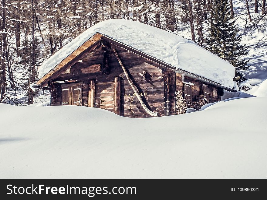 Bungalow, Cabin, Cold