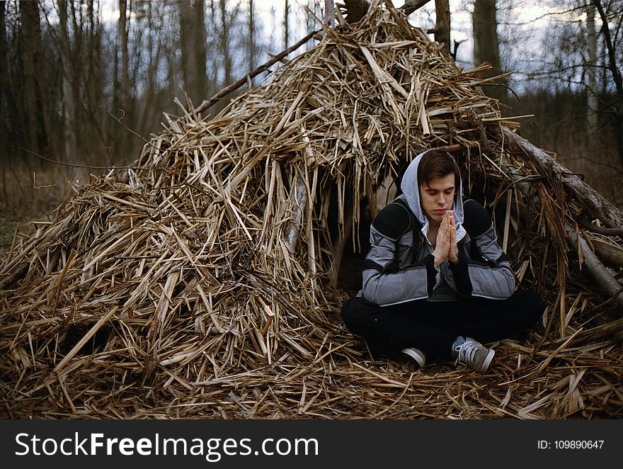 Hay, Haystack, Meditate