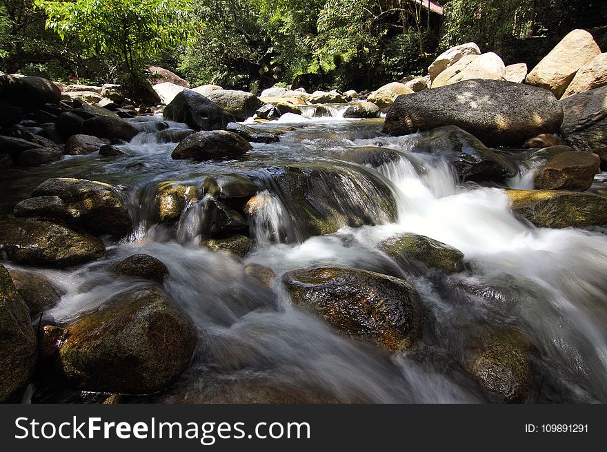 Creek, Environment, Flow