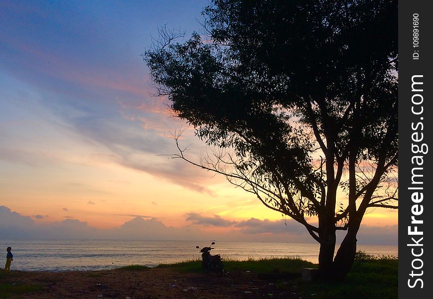 Beach, Clouds, Dawn