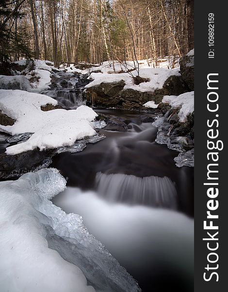 Water Flowing Through Snow Covered Forest