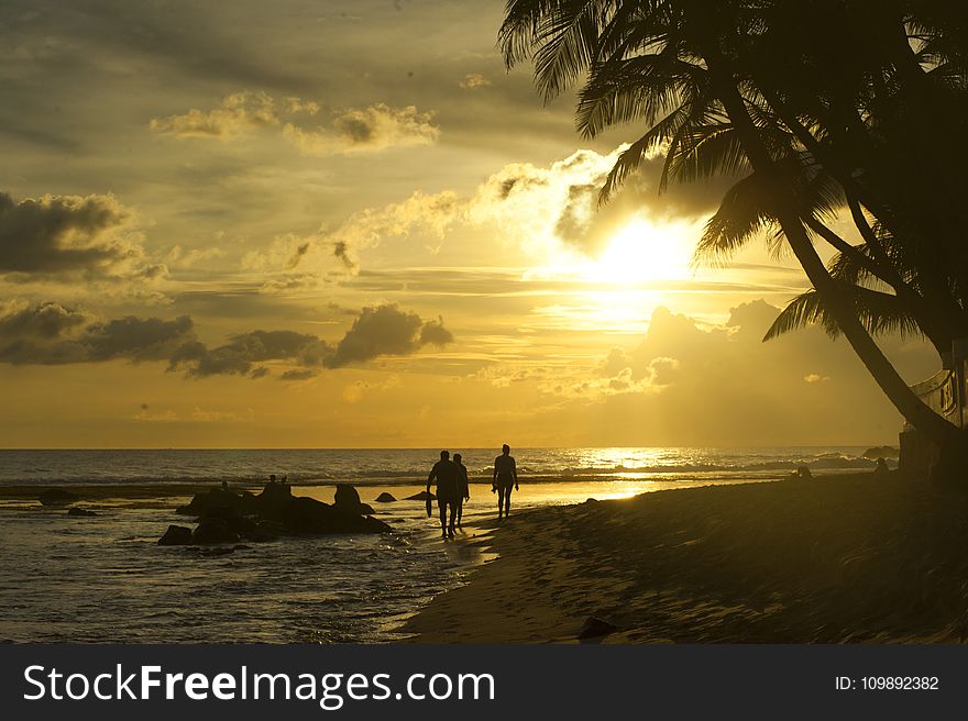 Backlit, Beach, Caribbean