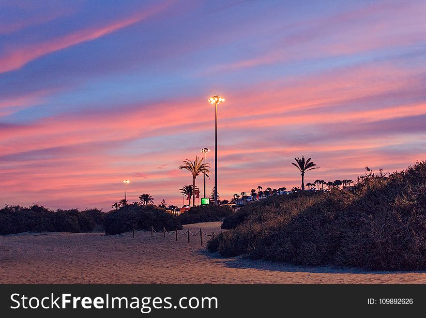 Backlit, Beach, Dawn