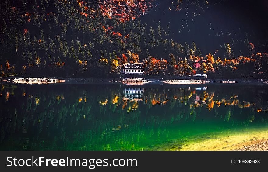 Reflection of Trees in Lake