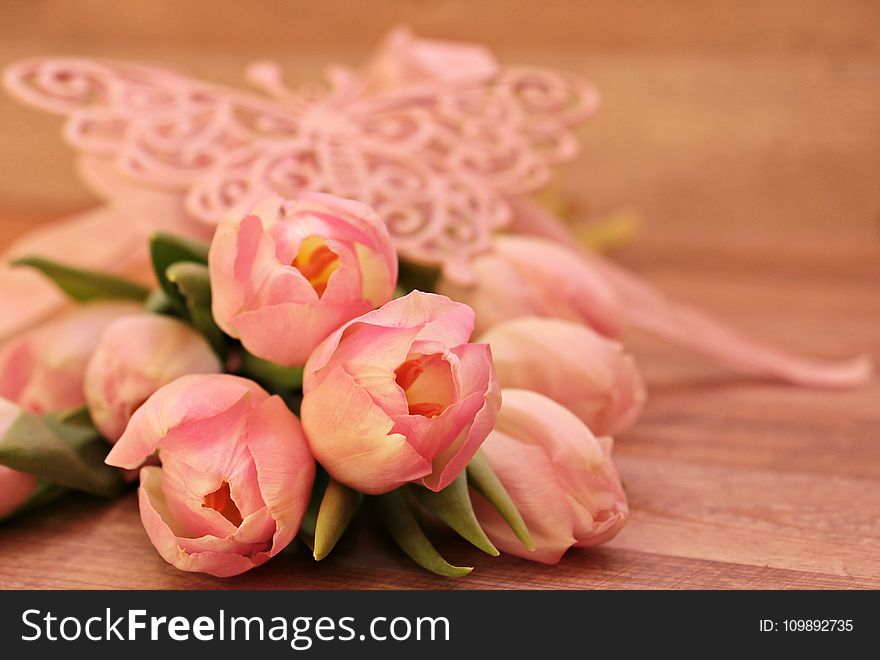 Close-up of Pink Flower Bouquet