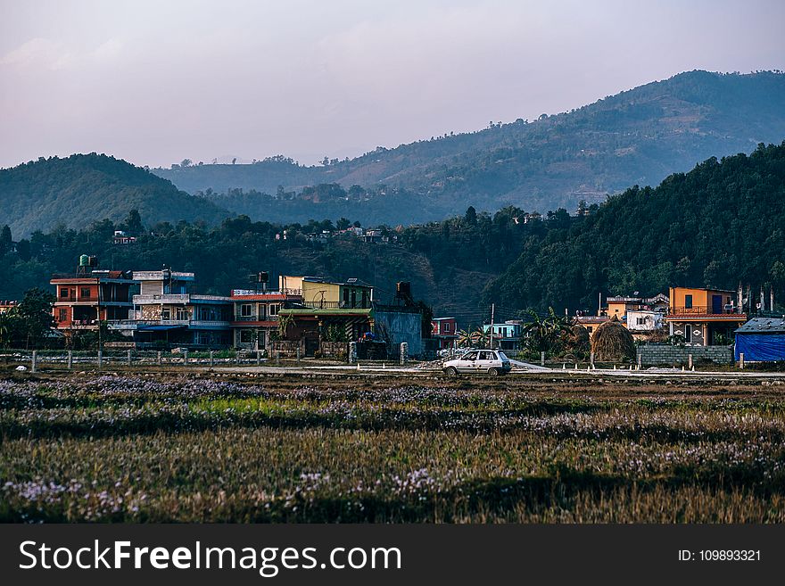 Agriculture, Asia, Background