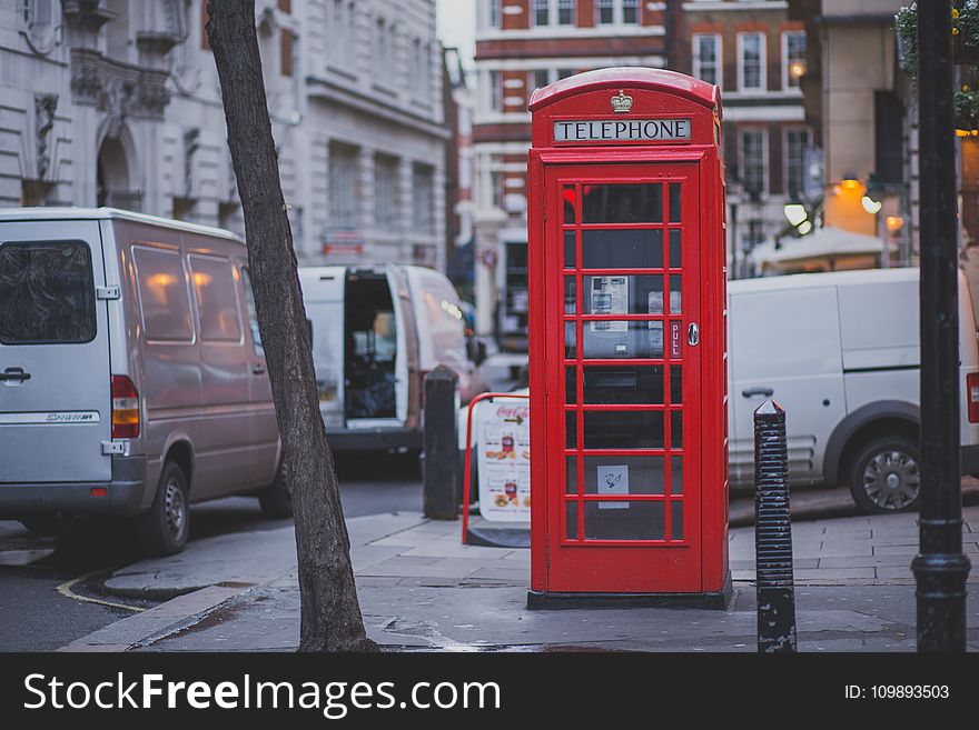 Red Telephone Shop Beside Brown Tree