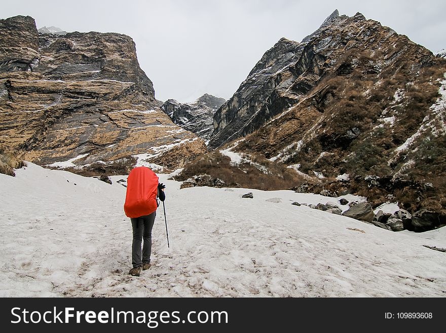 Adventure, Back, View