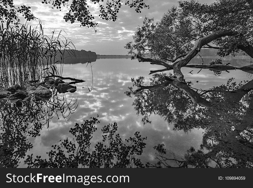 Black-and-white, Environment, Idyllic