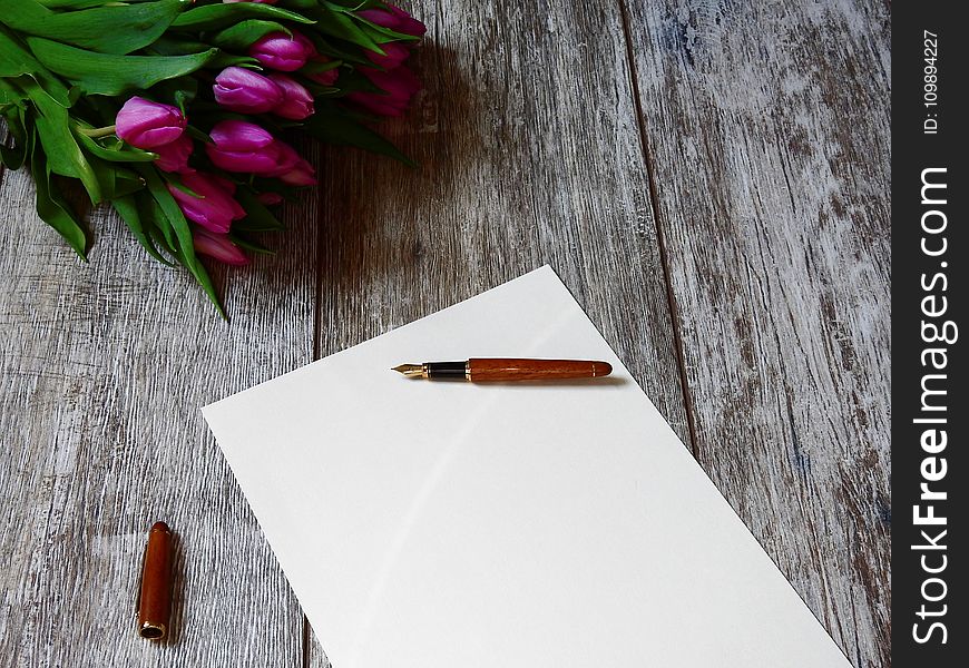 Blank, Bouquet, Card