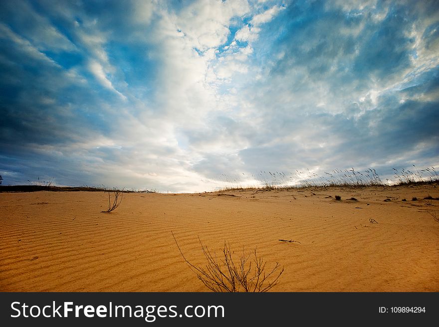 Arid, Daylight, Desert