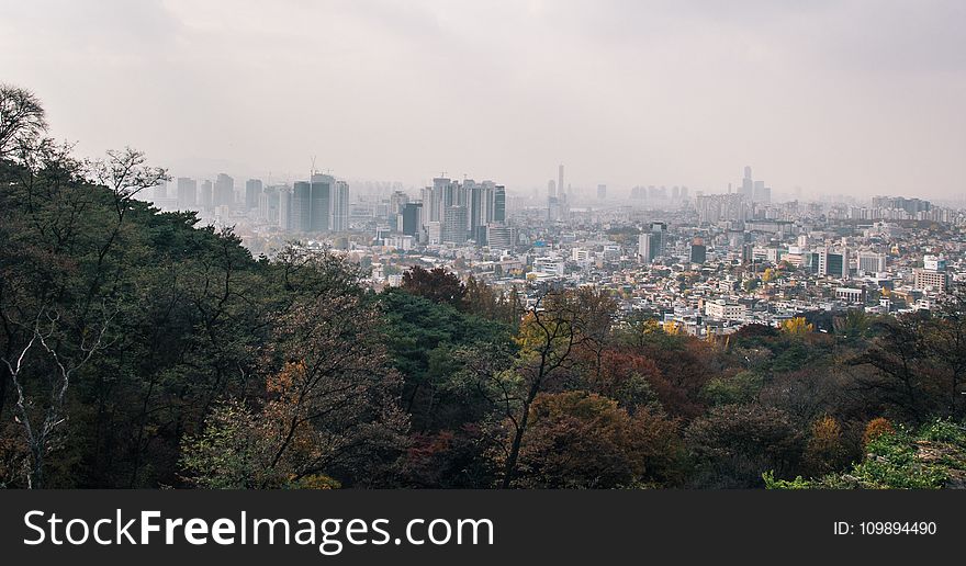 Buildings, City, View