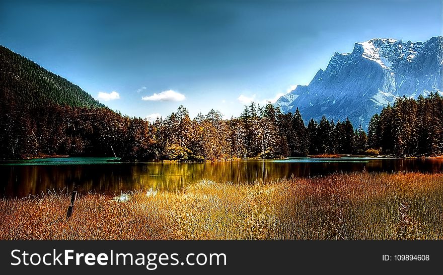 Alpine, Conifer, Dawn