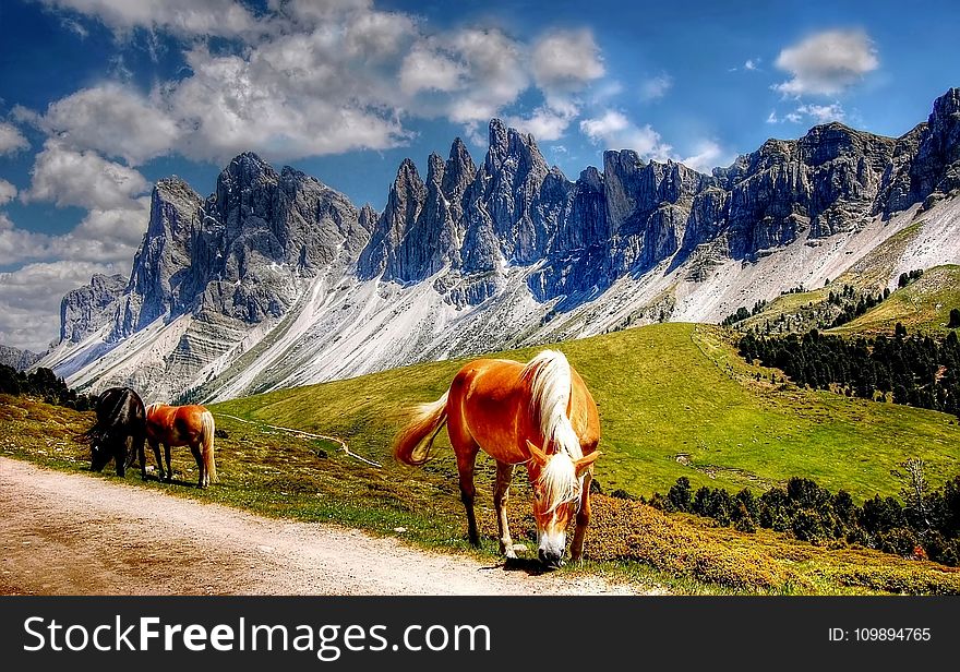 Blue, Clouds, Country