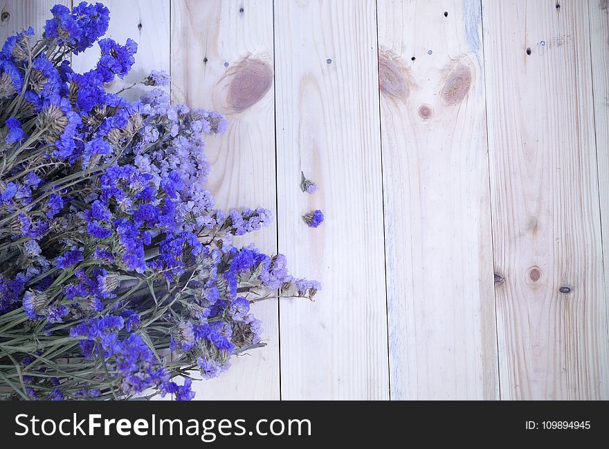 Flowers, Lavender, Top