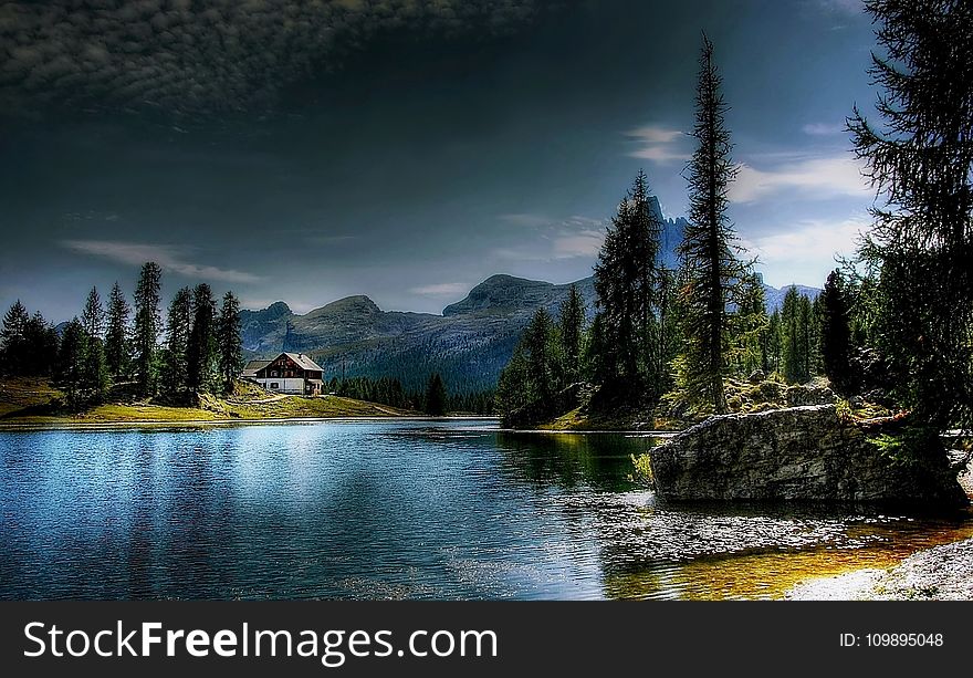 Adventure, Clouds, Conifer