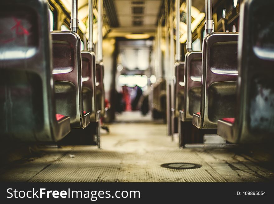 Bus, Public, Transportation