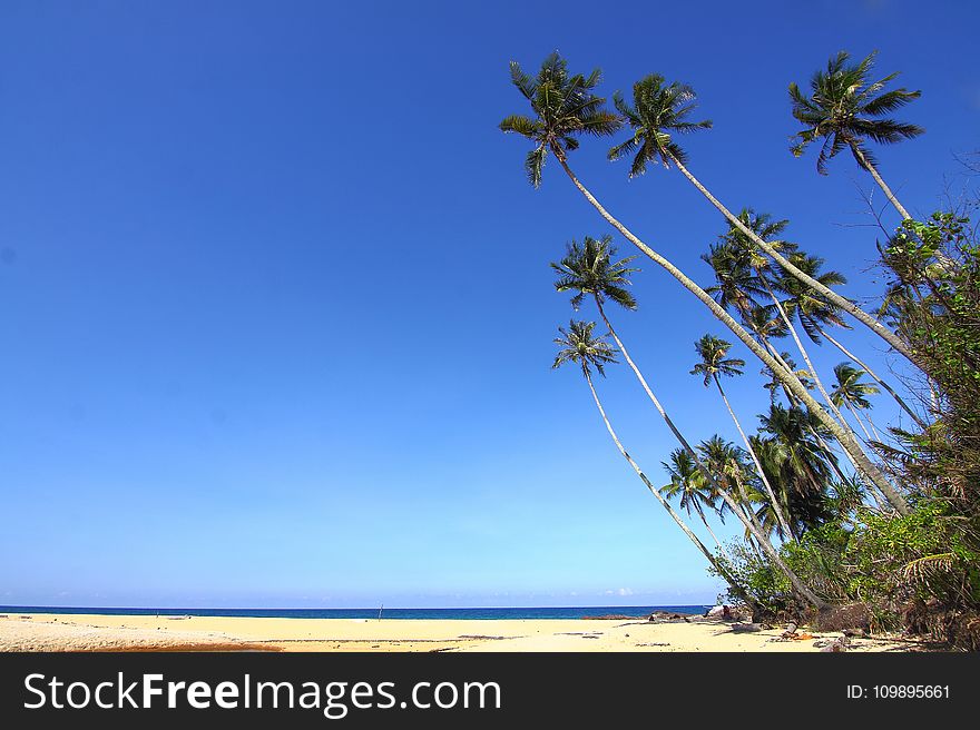 Beach, Blue, Sky