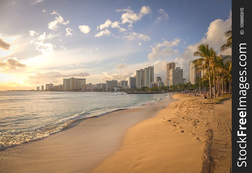 Beach, Buildings, City