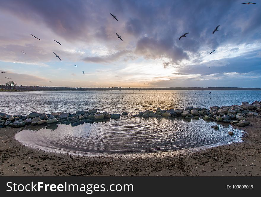 Beach, Birds, Clouds