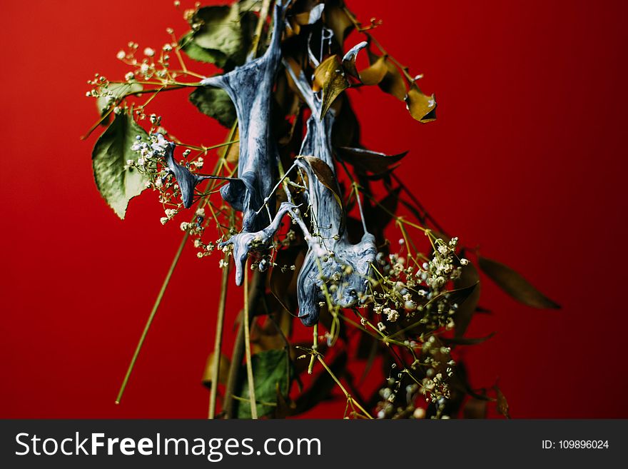 Branch, Colors, Flowers