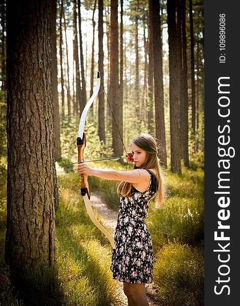 Archery, Beautiful, Beauty