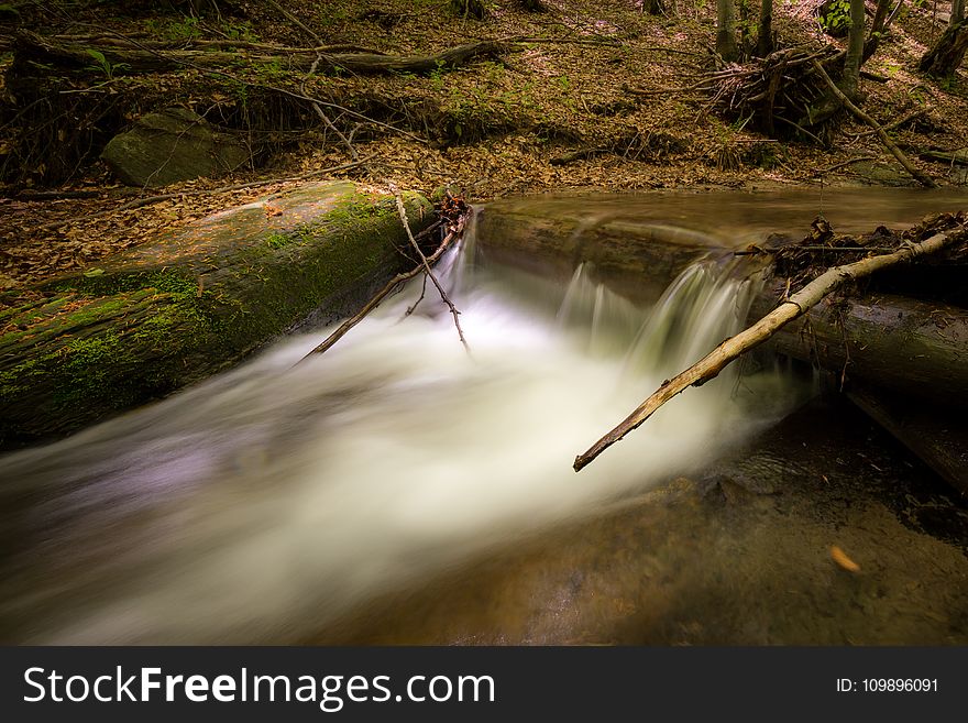 Creek, Environment, Fall