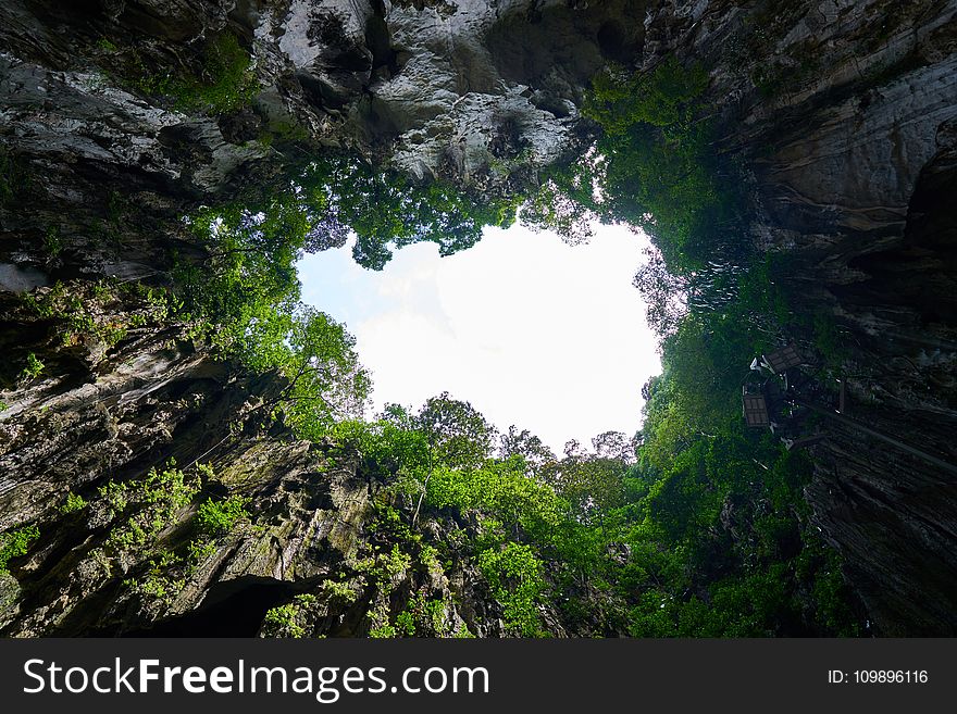 Cave, Daylight, Environment