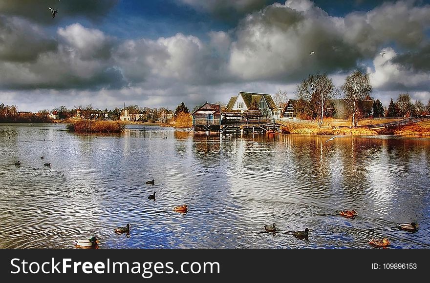 Clouds, Ducks, Houses