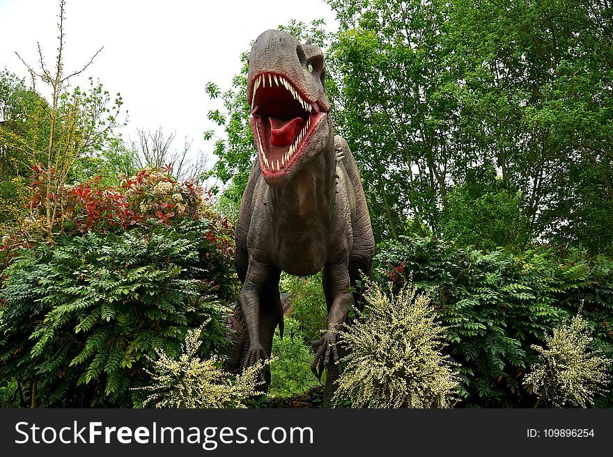 Dinosaur, Evergreen, Figure