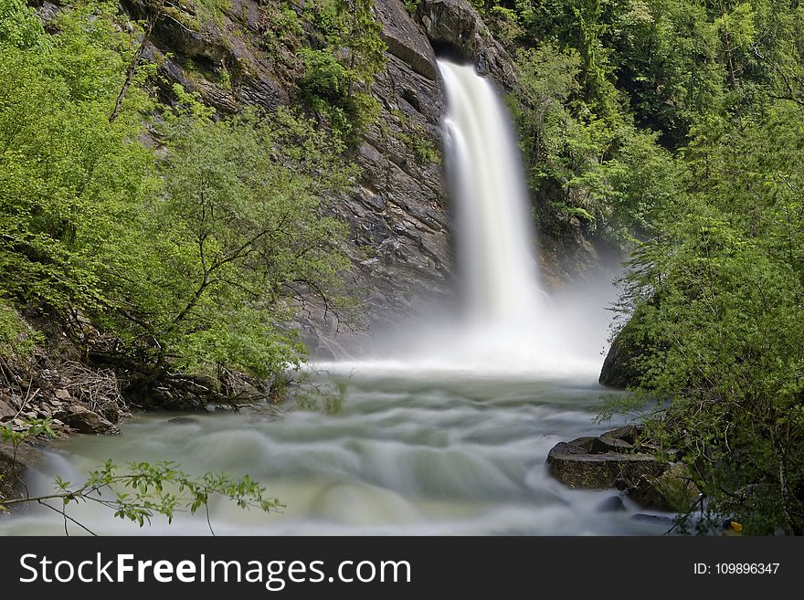 Cascade, Creek, Environment