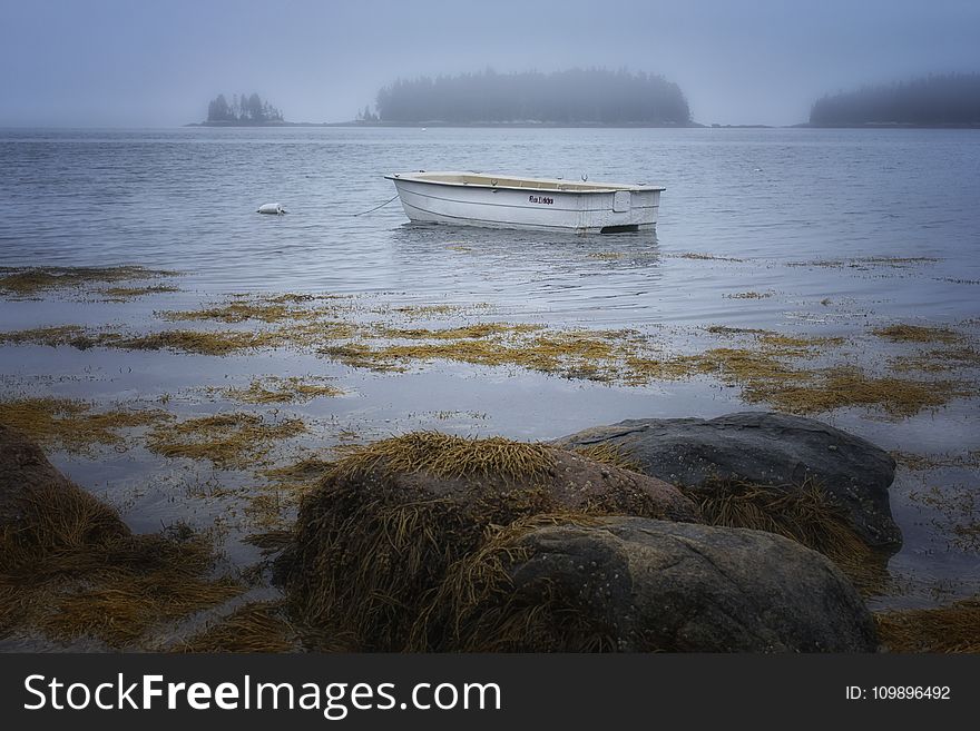 Adventure, Beach, Boat