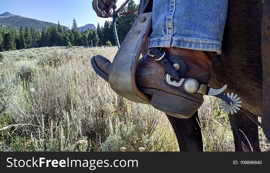 Boots, Conifers, Denim