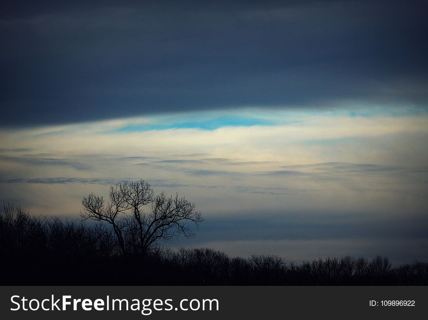 Autumn, Branch, Clouds