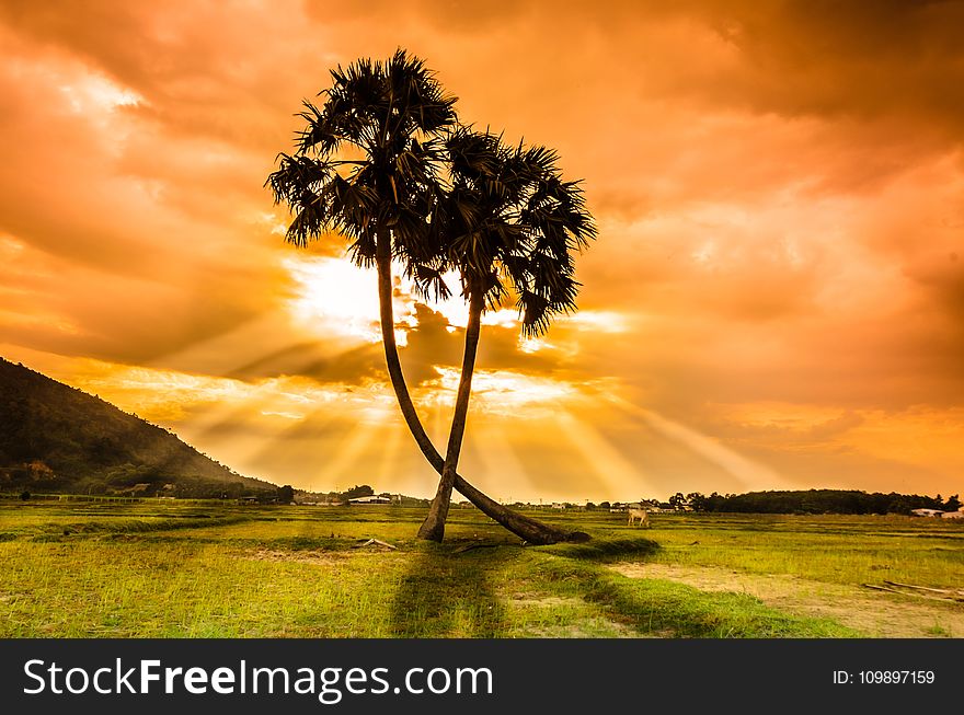 Clouds, Golden, Hour